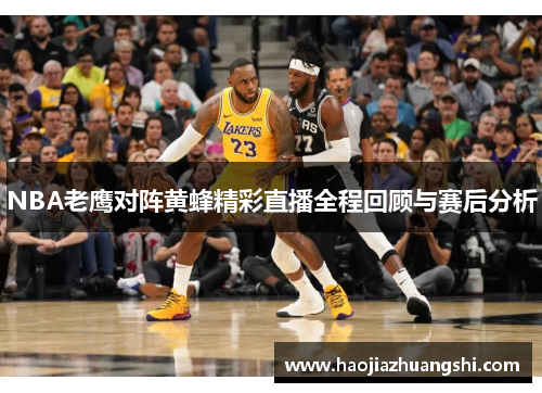 NBA老鹰对阵黄蜂精彩直播全程回顾与赛后分析